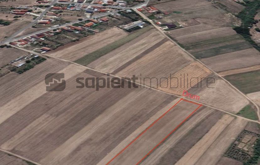 Sapient | Teren intravilan Cordau - Poză 3