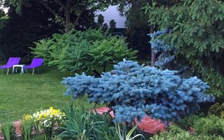 PROPRIETATE CU ENERGIE PURA |  Sanctuarul Eleganței și Rafinamentului - Poză 20