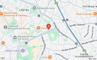 Închiriere Spațiu Comercial Premium, 240 mp, Bd. Anastasie Panu, Iași - Poză 16