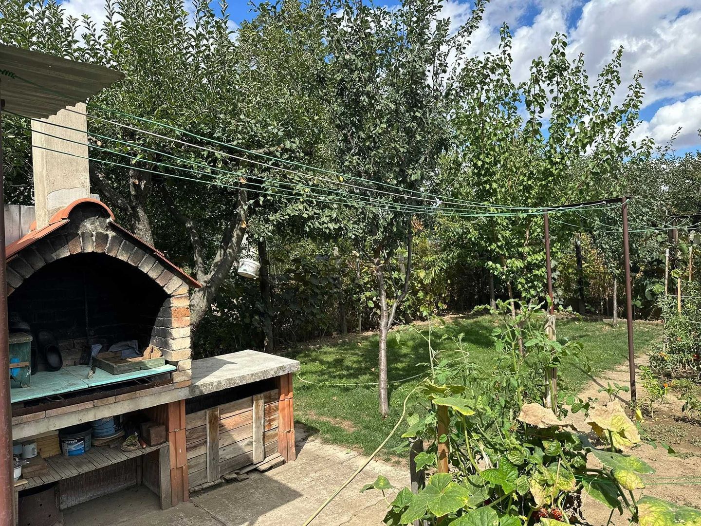BRASADAS vinde casa individuala in zona Odoreului. - Poză 5