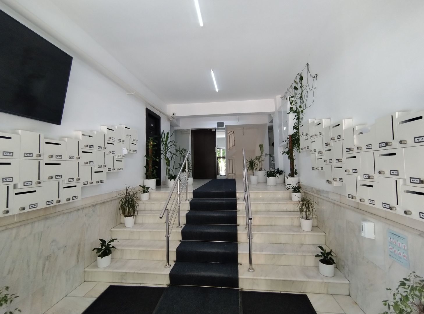 Chiajna - Dudu - Rosu - Militari - Poză 10