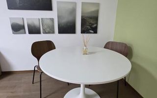 Prima Inchiriere Garsoniera -Unirii, Pet Friendly - Poză 9