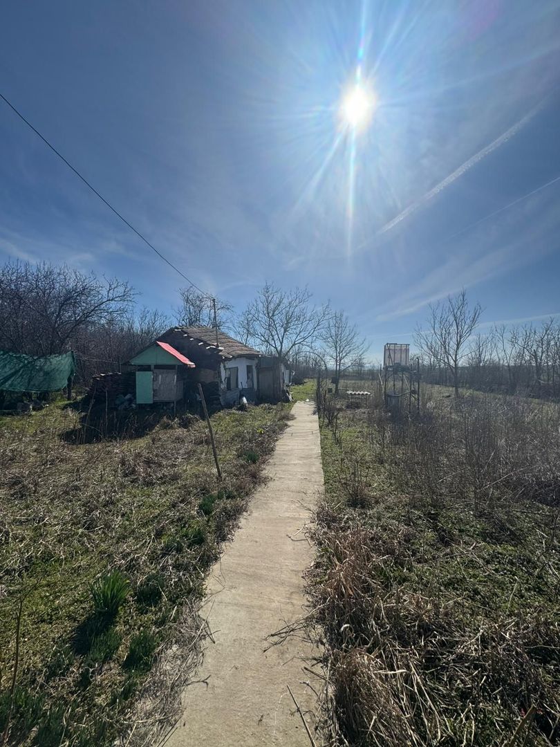 Teren de vânzare – Stănești, jud. Giurgiu - Poză 1