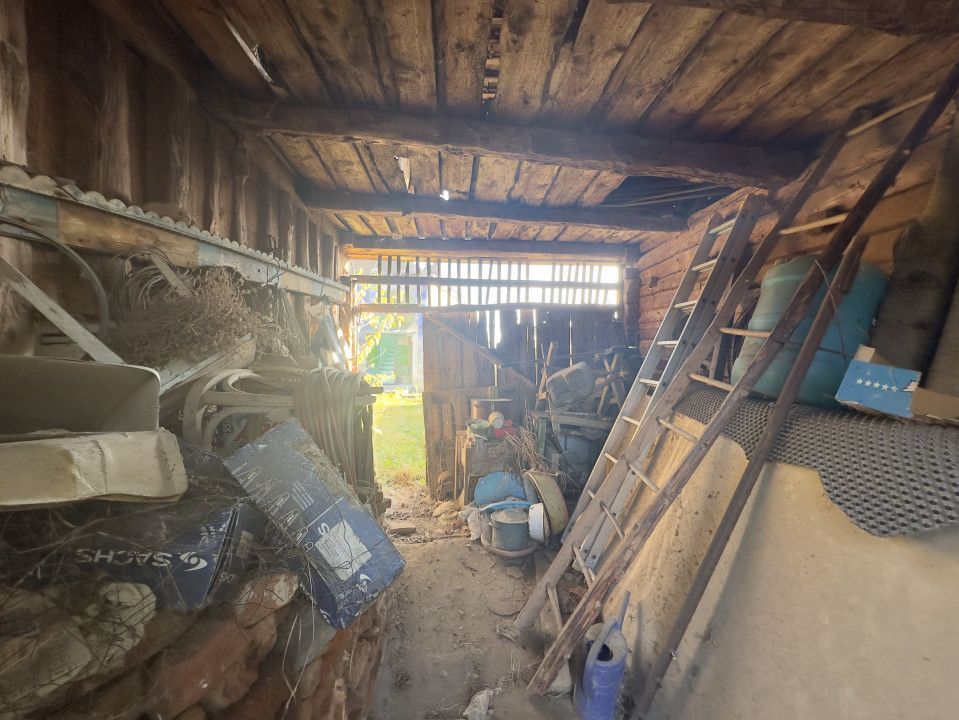 Casa individuala - Sat Vale, Saliste - Poză 10