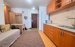 APARTAMENT 2 CAMERE DE ÎNCHIRIAT | BALCON | PARCARE | DOAMNA STANCA - Poză 11