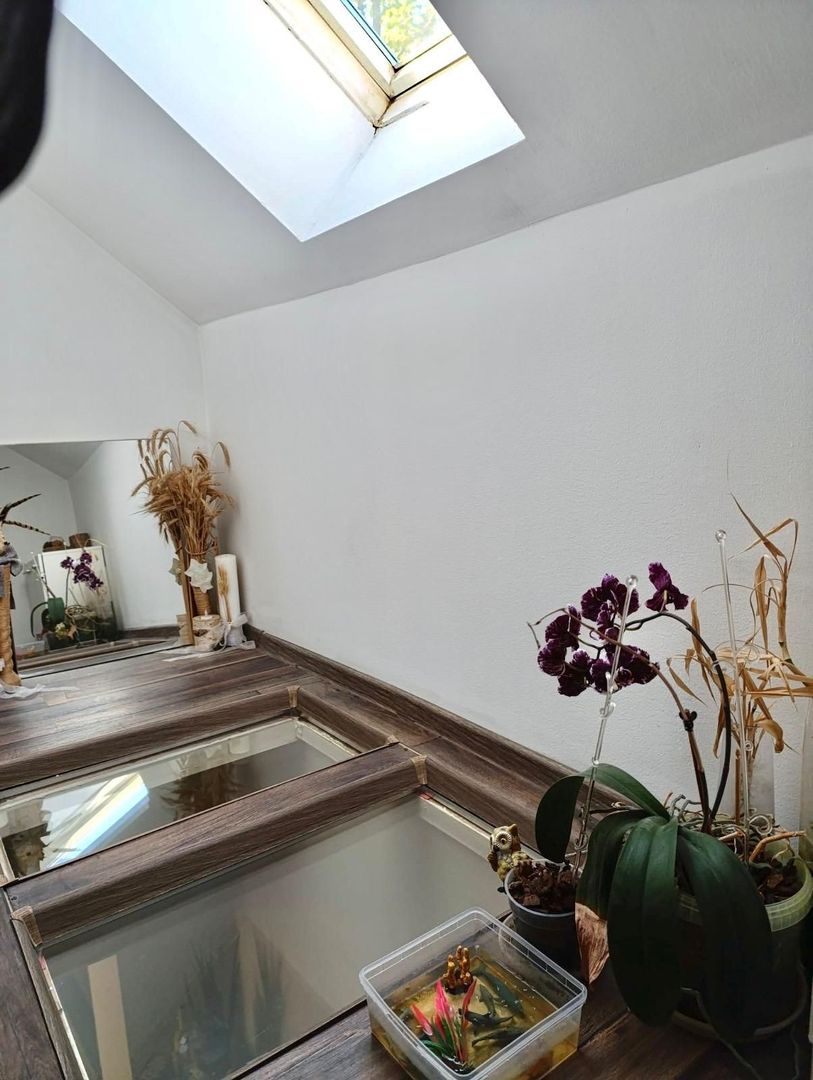 Casa individuala spatioasa si teren mare, pozitie excelenta, Sacalaz - Poză 16