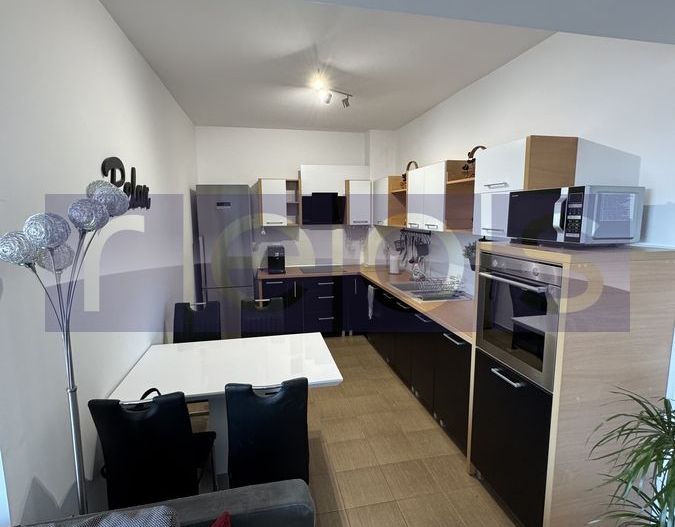 INCHIRIERE APARTAMENT 2 CAMERE DECEBAL - SA ACCEPTA ANIMALE DE COMPANIE - Poză 8