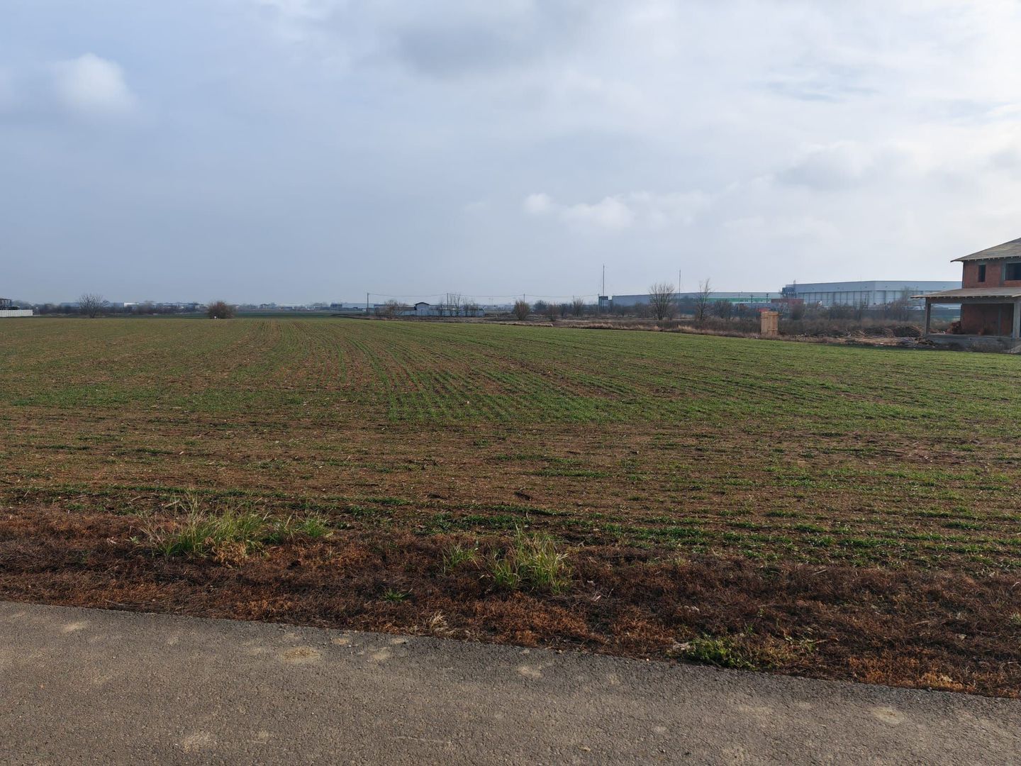 Dragomiresti Valea - Langa Centura, teren 31.200 mp, 35E/mp - Poză 4