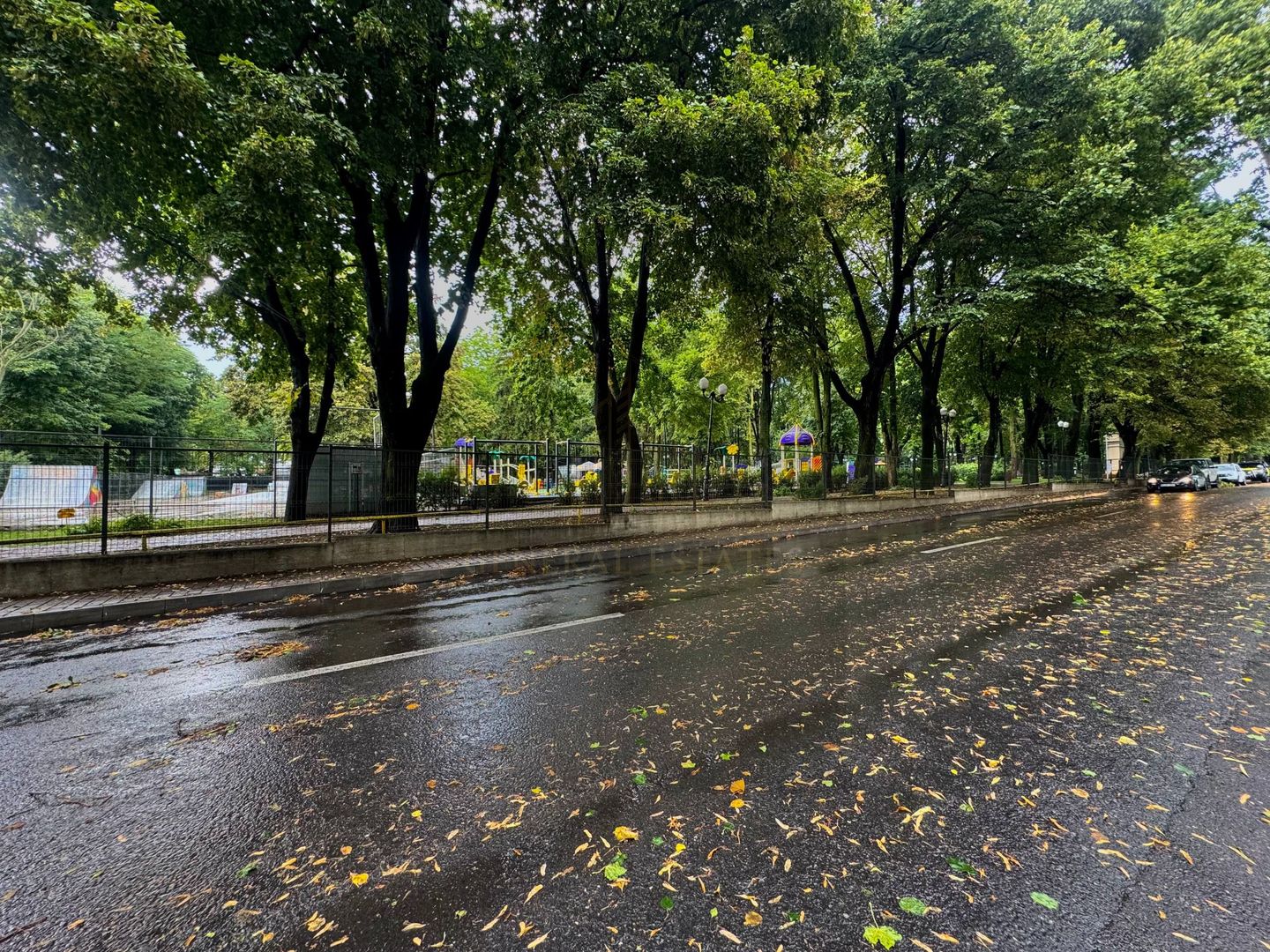 Vânzare Casă cu aplasare Strategică - Copou - Parcul Expoziției - Poză 17