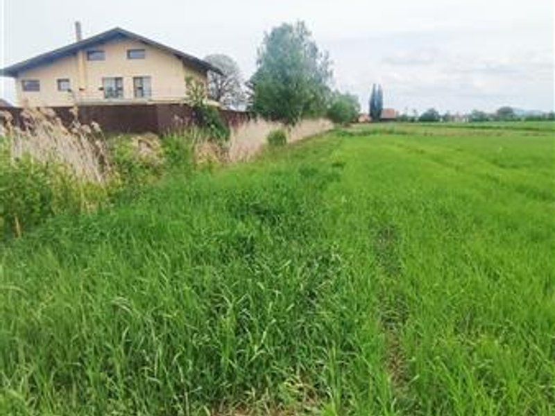 teren intravilan Stupini-Albinelor - Poză 3