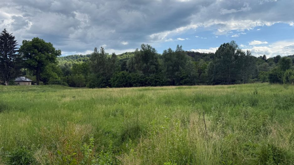 Teren plat-intravilan -3800 mp, cu pădurice și ieșire la râu! - Poză 25