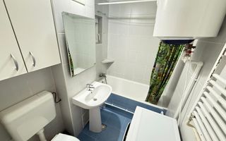 Apartament 2 Camere Teiul Doamnei Lacul Tei - Poză 11