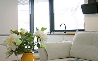 Studio de Lux *52mp * / Aviației-Herastrau - Poză 6