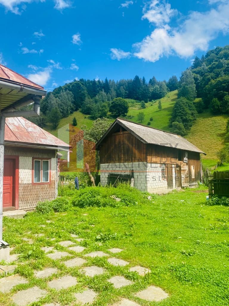 Teren 5879 mp + casa batraneasca Moieciu de jos - Poză 5