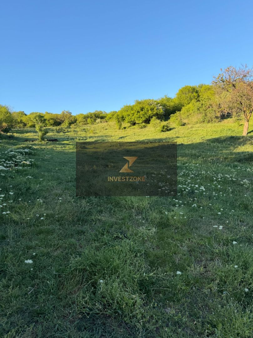 ⭐  Teren de 2.700 mp cu front generos – Ocazie în Oncea - Poză 13
