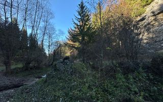 Teren 2.882 mp – oportunitate investitie - Cheile Dâmbovicioarei - Poză 16