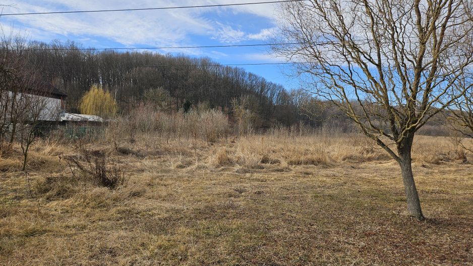 Vanzare teren Labusesti, langa padure - Poză 1