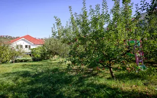 CASA Individuala ELEGANTA 280MP Teren 2150MP CAMPULUI - Poză 14