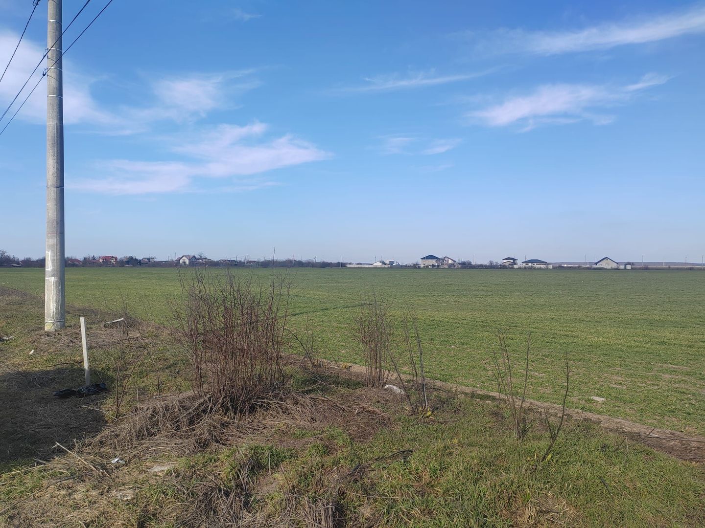 Cernica Tanganu super pret rezidential sau depozitare - Poză 4