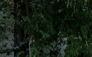 💎 De Vânzare: Garsonieră - Nicolae Grigorescu / Metrou Titan (Lângă Parcul IOR) - Poză 4