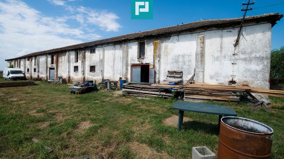 Hală industrială cu teren generos în Zărand, Arad - Poză 5