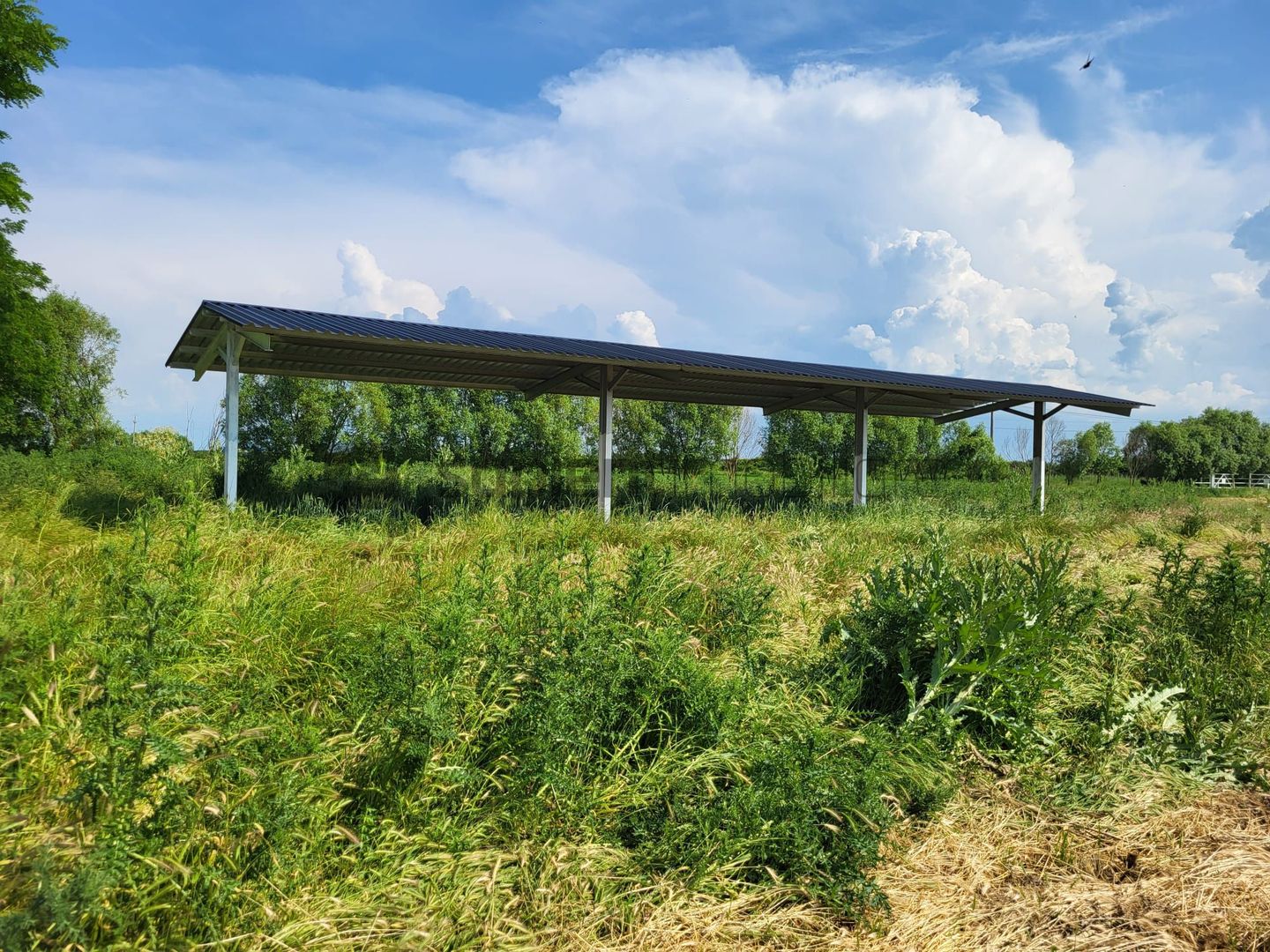 FERMA ZOOTEHNICA DE VANZARE - Poză 4