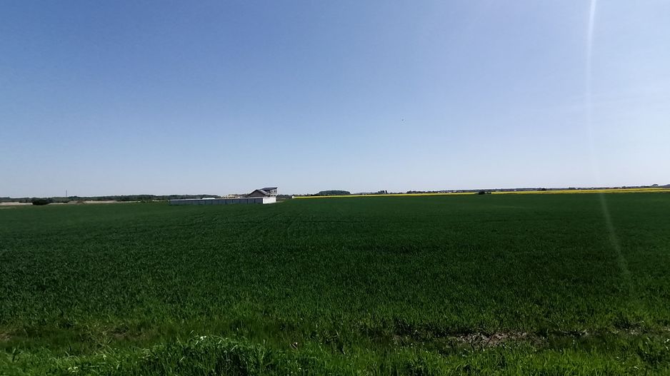 Teren intravilan 9313 mp in comuna 1 Decembrie - Ilfov - Poză 2