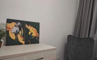 3 camere Drumu Taberei-Renovat (5min metrou Valea Ialomitei) - Poză 2