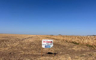 Teren intravilan 5087 mp de vânzare – Pielești - Poză 2