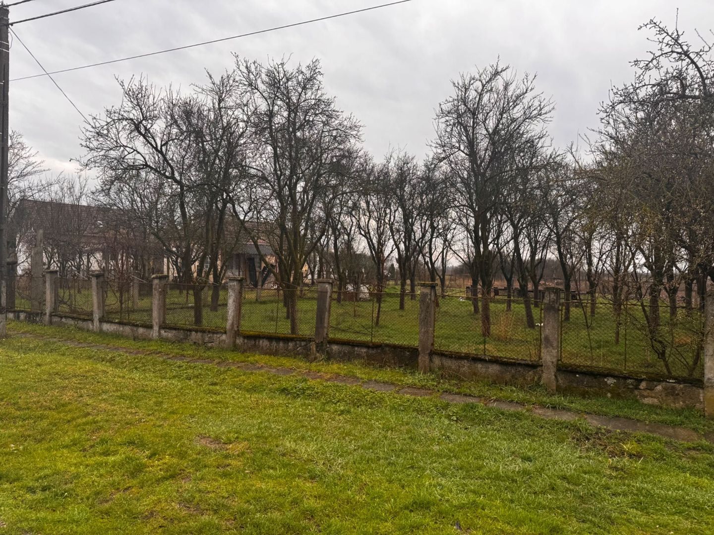 Vând proprietate deosebită, 8 km de Satu Mare – Apateu - Poză 2