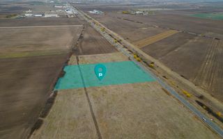 Teren 22.500 mp – Pecica, jud. Arad - Poză 1