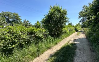 Teren de vânzare, Zona Ura, Bacău - Poză 10