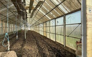 Teren de vânzare cu seră și vie în com. Belcești, jud. Iași - Poză 7