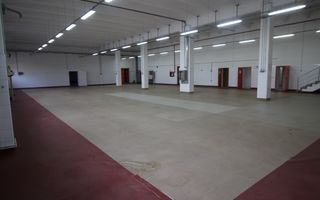 Hala productie    - Calea Torontalului de vanzare - Poză 5