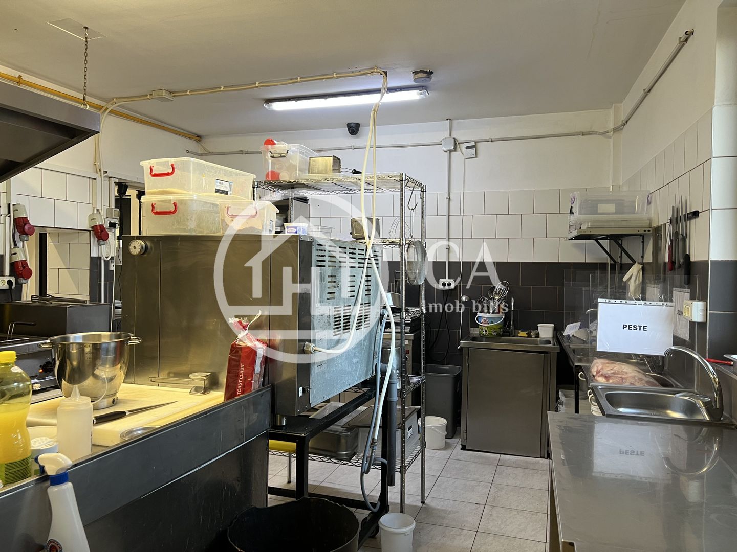 Afacere la cheie de vânzare în Santandrei, Bihor - Poză 18