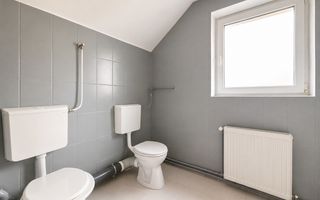 Vila spatioasa cu 15 camere de inchiriat in zona Andrei Muresanu - Poză 24