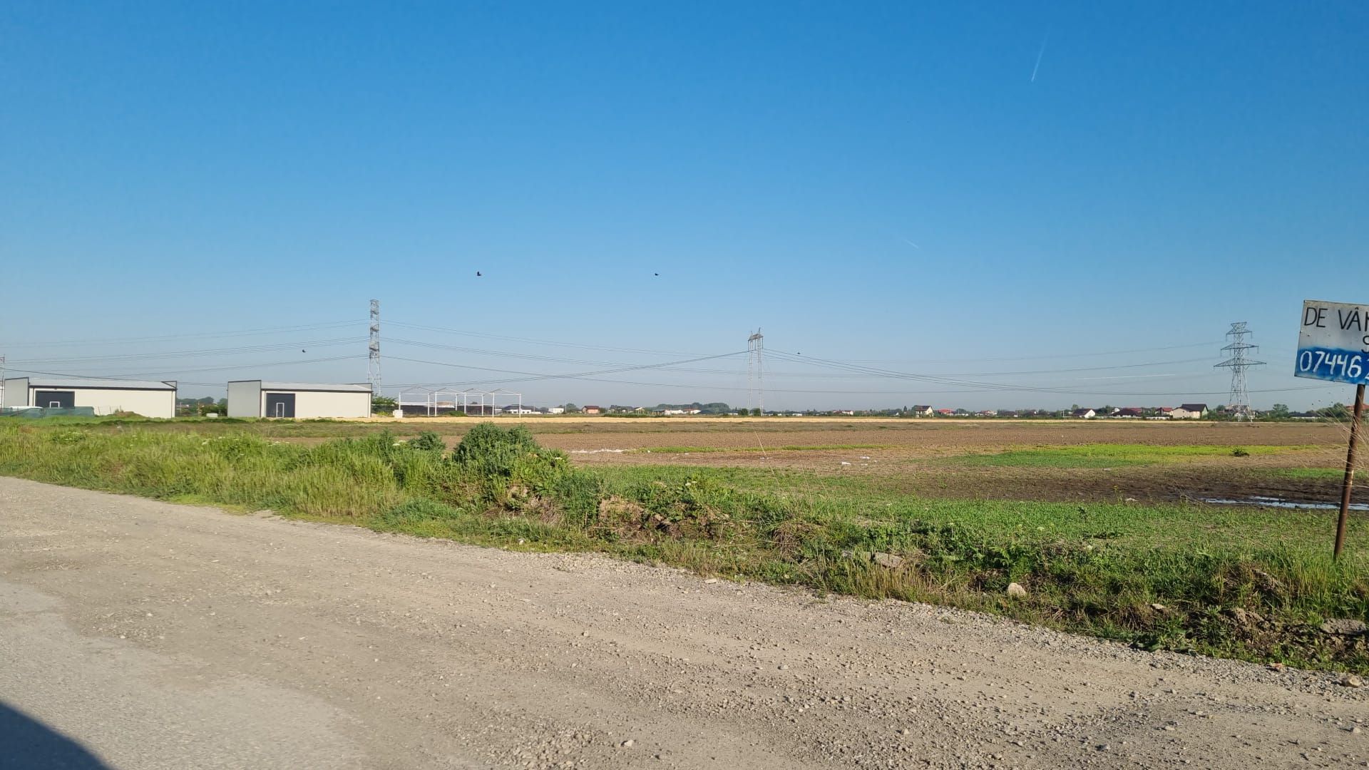 Teren 10.000 mp Clinceni | Parcelat 5 loturi + drum privat 9 ml - Poză 4
