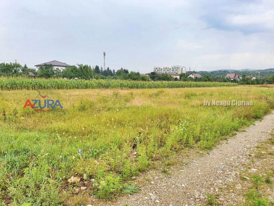 Vanzare Teren Racovita Intravilan - Poză 10