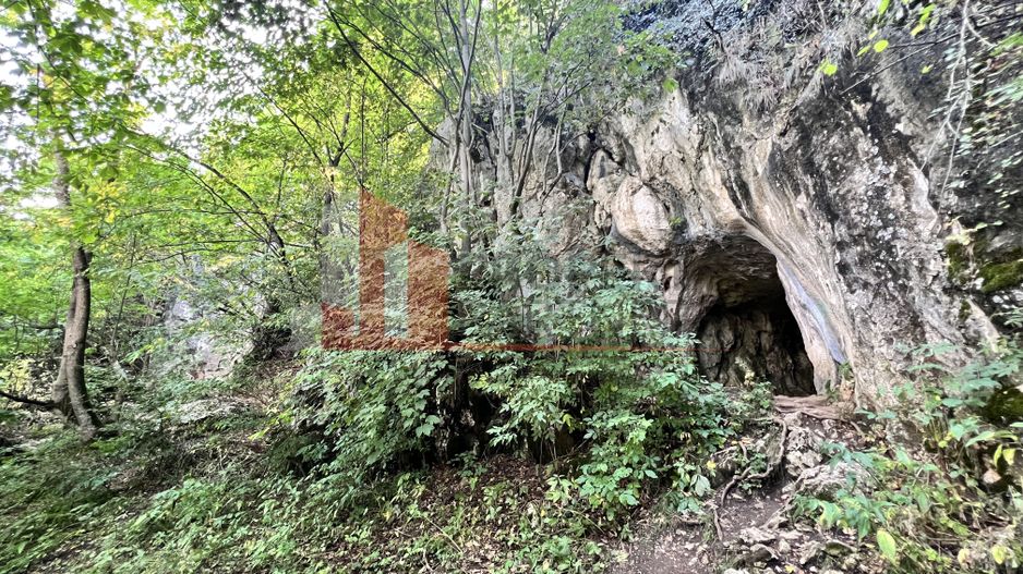 Teren de vânzare langa  Peștera Liliecilor  in Sat Pestera - Poză 6