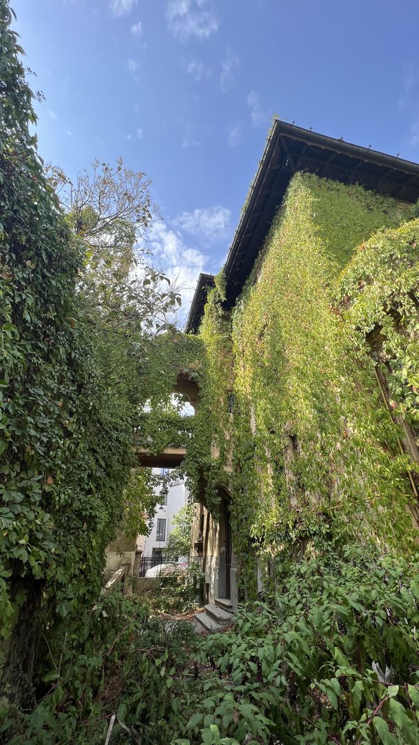 VILA INDIVIDUALA CISMIGIU | INTR. TEMISANA - Poză 14