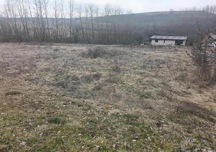 Teren intravilan, 675 mp, PUZ aprobat, front 14 ml, utilitati, Teleac - Poză 1