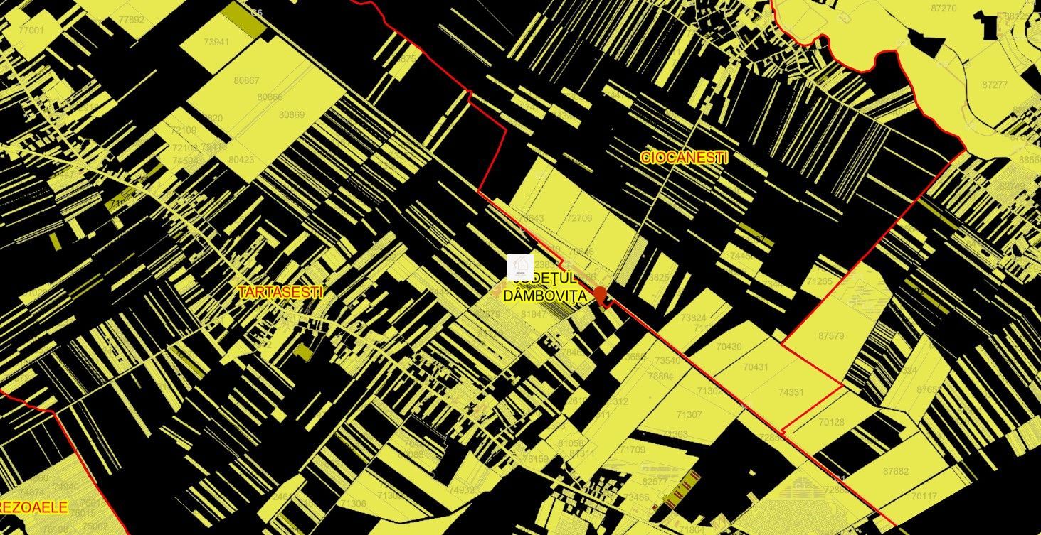 Teren extravilan agricol Tartasesti - Poză 3