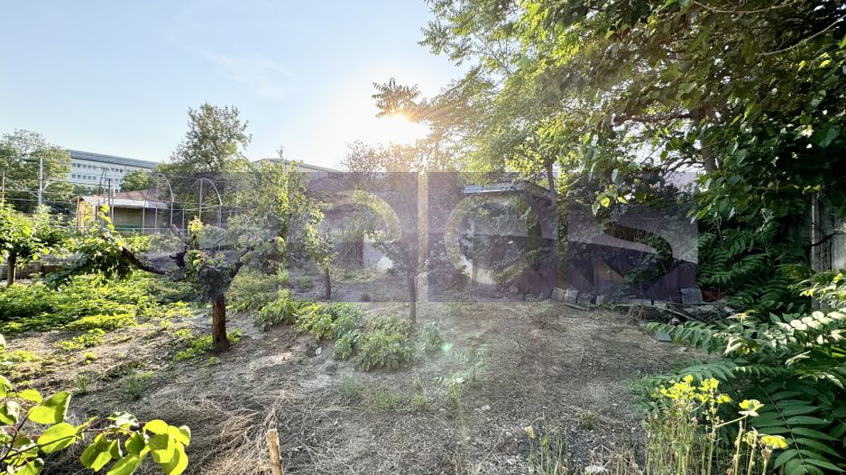 VANZARE TEREN 452 MP | CARPATI | SPITAL - Poză 5