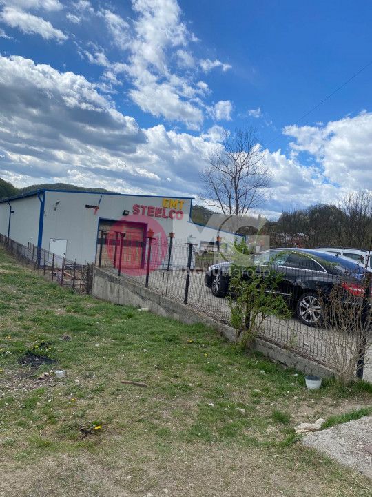 Hala industriala + teren Pausesti Valcea - Poză 3