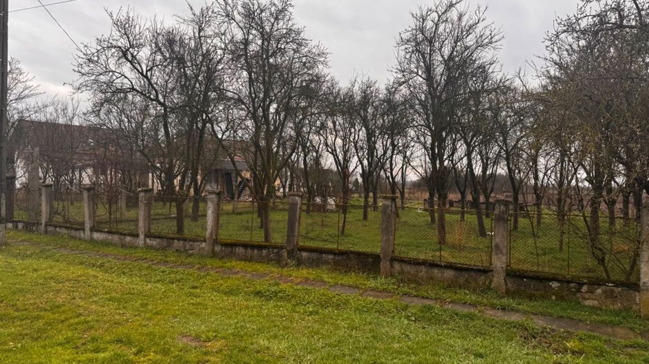 Vând proprietate deosebită, 8 km de Satu Mare – Apateu - Poză 2