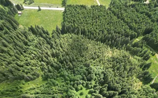 Teren extravilan 5000 MP Comandau - Poză 11