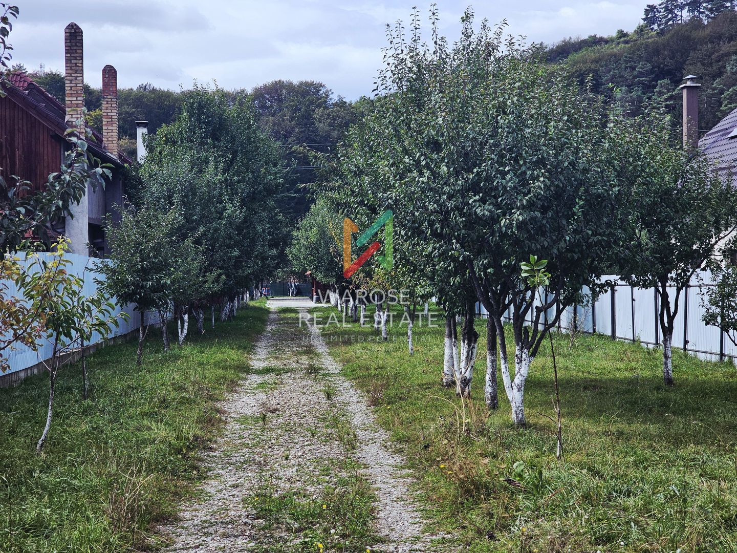 Casa | Foisor | Livada | Teren 2000 mp | Zizin | Brasov - Poză 24