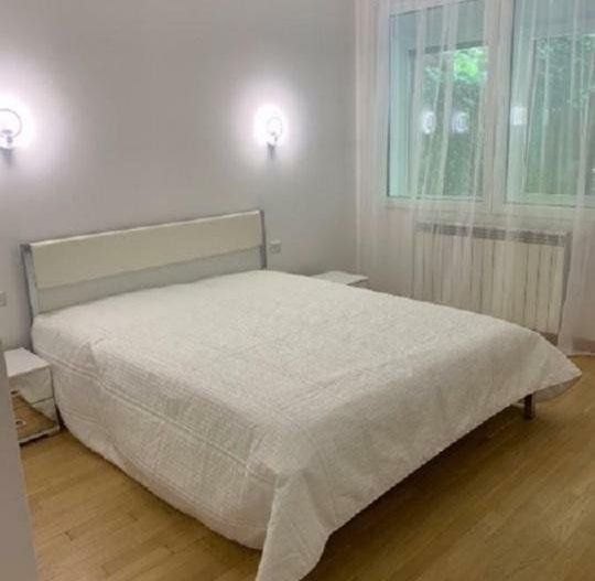 Apartament luminos cu gradina Sos Nordului Parc  Herastrau - Poză 4