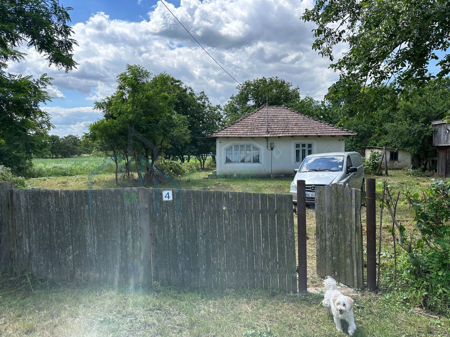 Casă bătrânească cu 5200 mp teren în Damileni - Botoșani - Poză 7