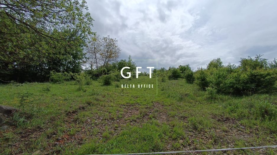 Teren Extravilan Valea Ghinzii 15 ari - Poză 3